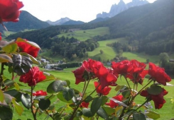Appartement Bergblick - Villnöss